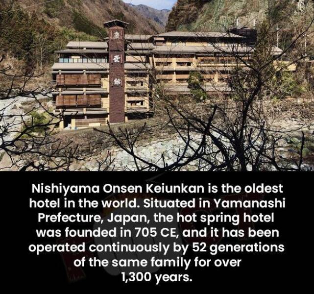 Daily Picdump [WEEKEND EDITION]