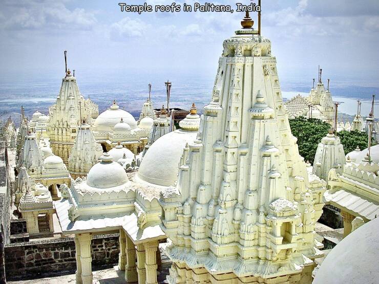 Daily Picdump [WEEKEND EDITION]