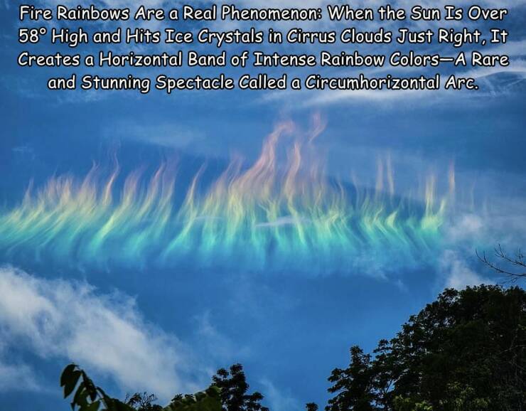 Daily Picdump [WEEKEND EDITION]