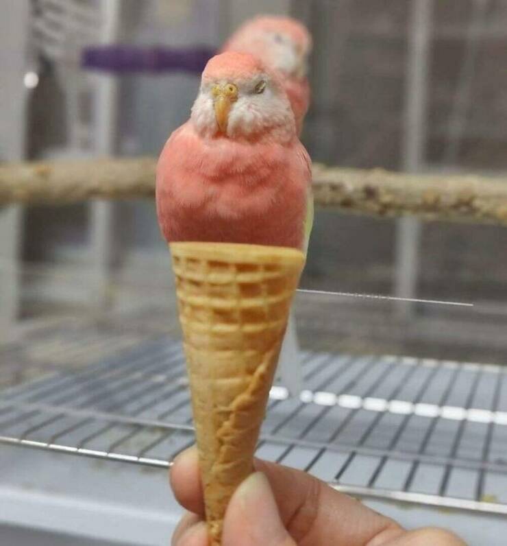 Daily Picdump [WEEKEND EDITION]