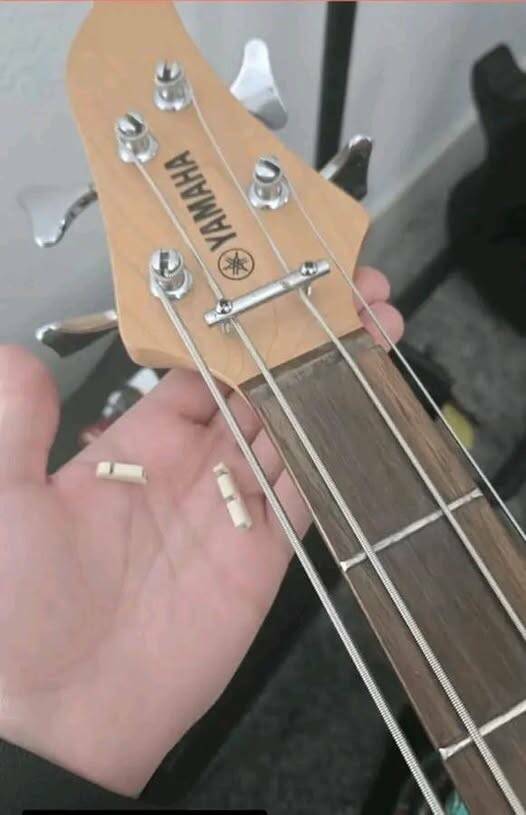 Daily Picdump [WEEKEND EDITION]