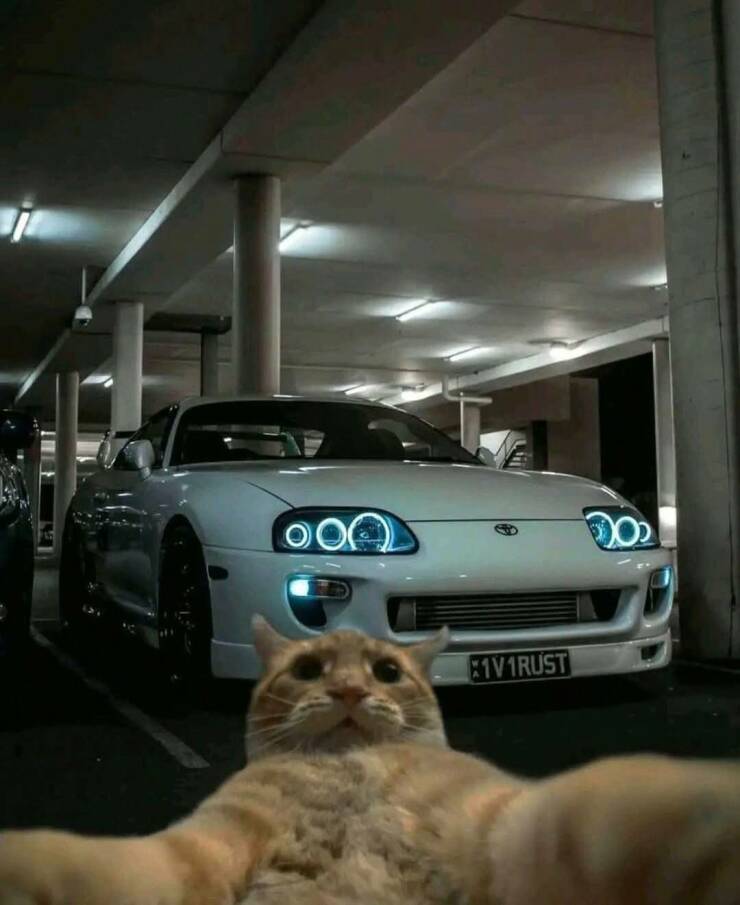 Daily Picdump [WEEKEND EDITION]