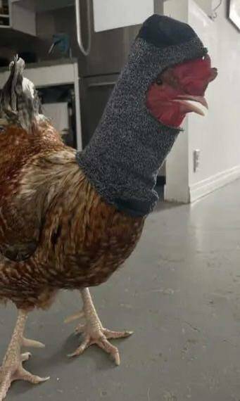 Daily Picdump [WEEKEND EDITION]