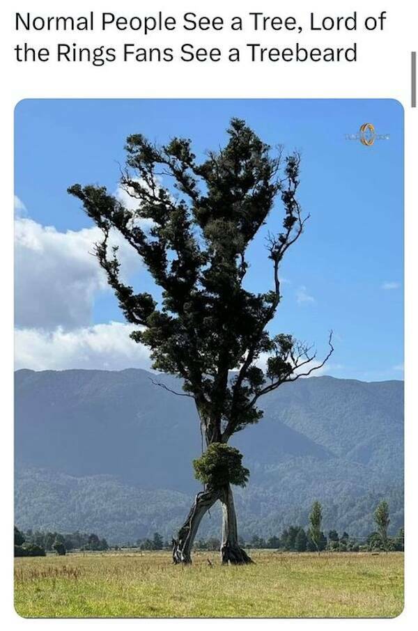 Nerdy Memes For Every Corner Of The Universe