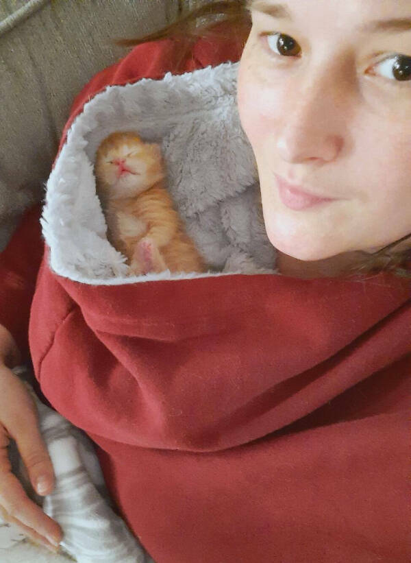 Purrfectly Hilarious Cat Moments Purrfectly Hilarious Cat Moments