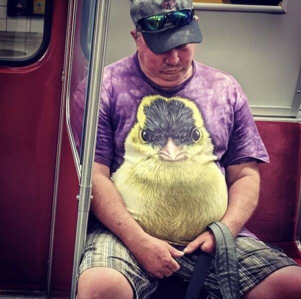 The Wild World Of Subways The Wild World Of Subways