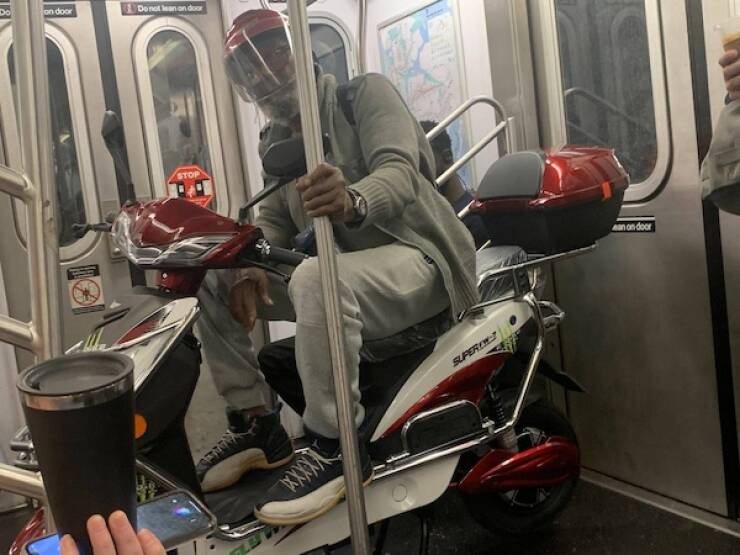 The Wild World Of Subways The Wild World Of Subways