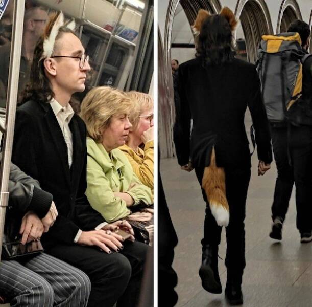 The Wild World Of Subways The Wild World Of Subways