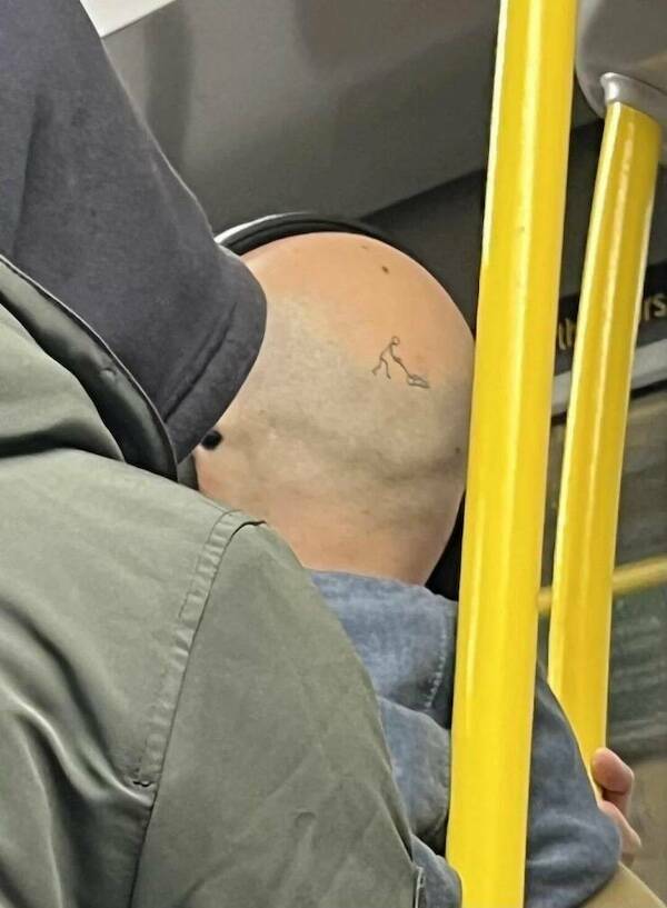 The Wild World Of Subways The Wild World Of Subways