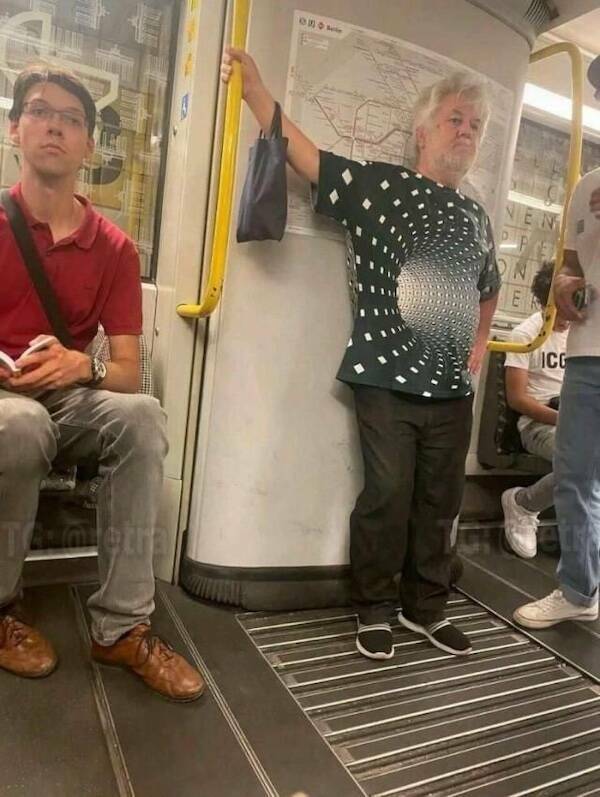 The Wild World Of Subways The Wild World Of Subways