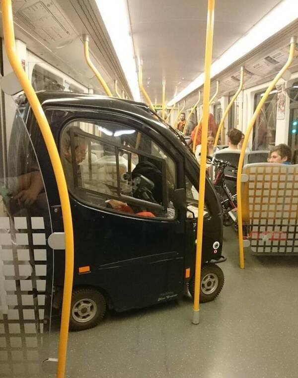 The Wild World Of Subways The Wild World Of Subways