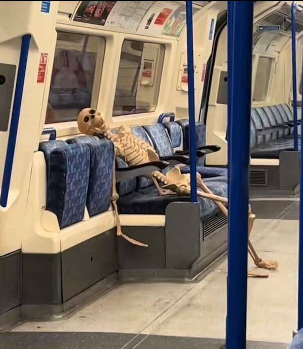 The Wild World Of Subways The Wild World Of Subways