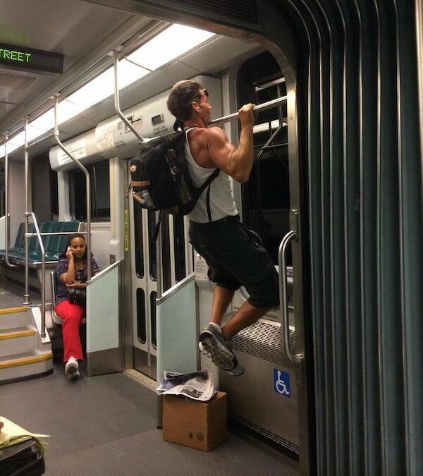 The Wild World Of Subways The Wild World Of Subways