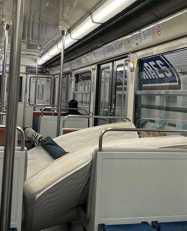 The Wild World Of Subways The Wild World Of Subways