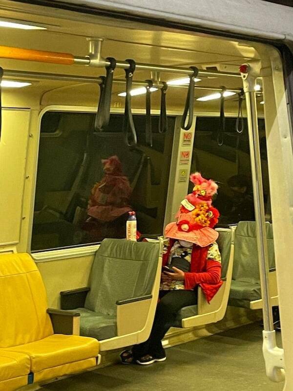 The Wild World Of Subways The Wild World Of Subways