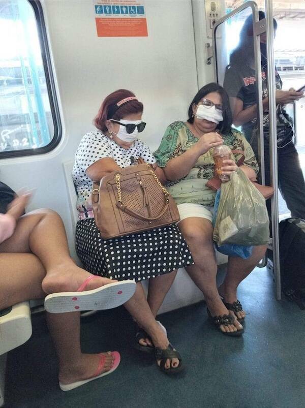 The Wild World Of Subways The Wild World Of Subways