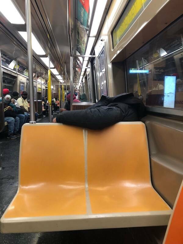 The Wild World Of Subways The Wild World Of Subways