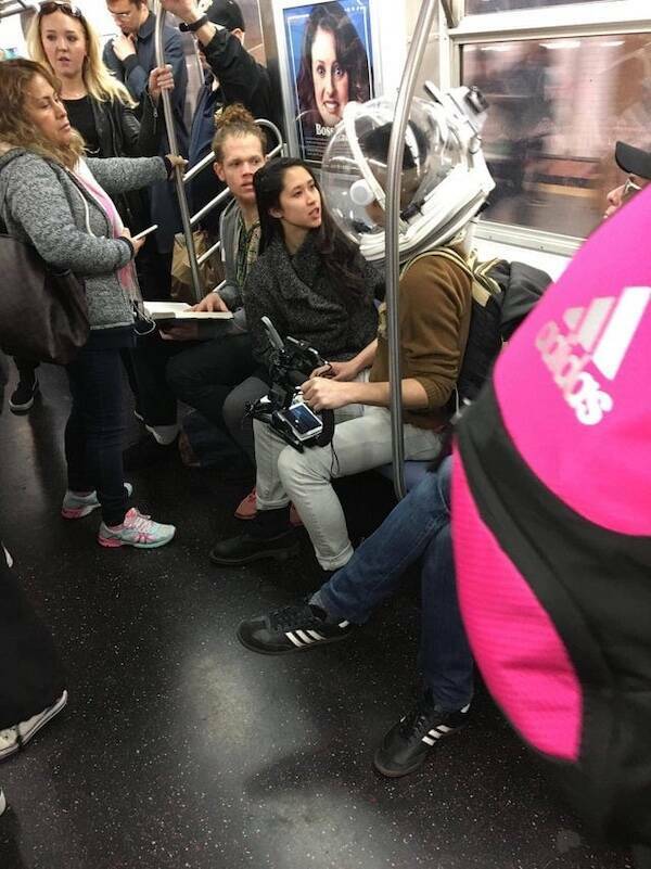 The Wild World Of Subways The Wild World Of Subways