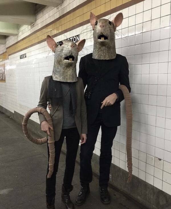 The Wild World Of Subways The Wild World Of Subways