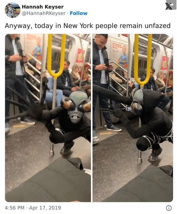 The Wild World Of Subways The Wild World Of Subways