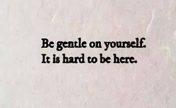 Wholesome Posts With Big Heart Energy