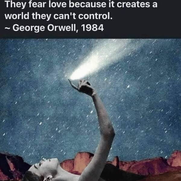 Wholesome Posts With Big Heart Energy