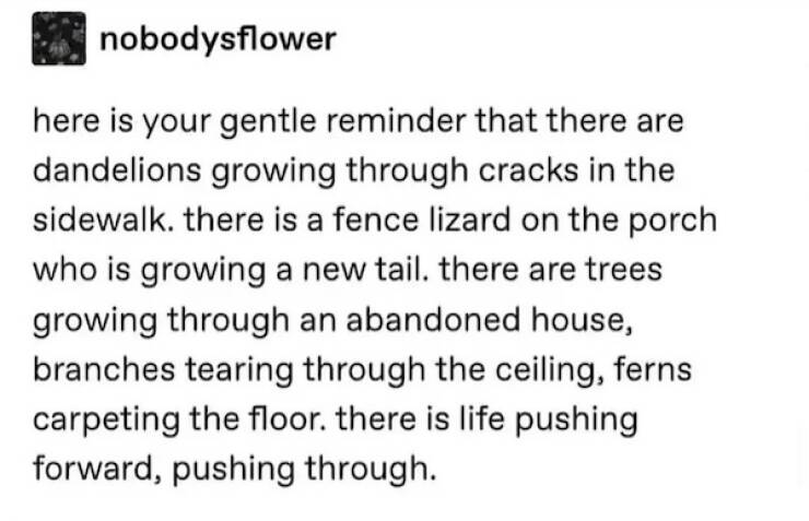 Wholesome Posts With Big Heart Energy