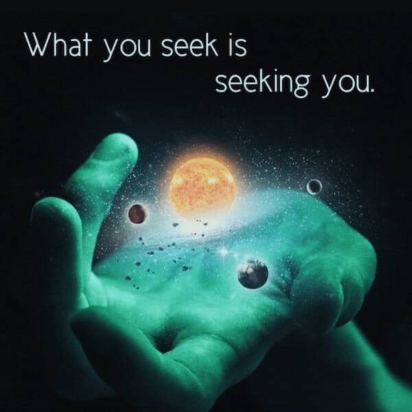 Wholesome Posts With Big Heart Energy