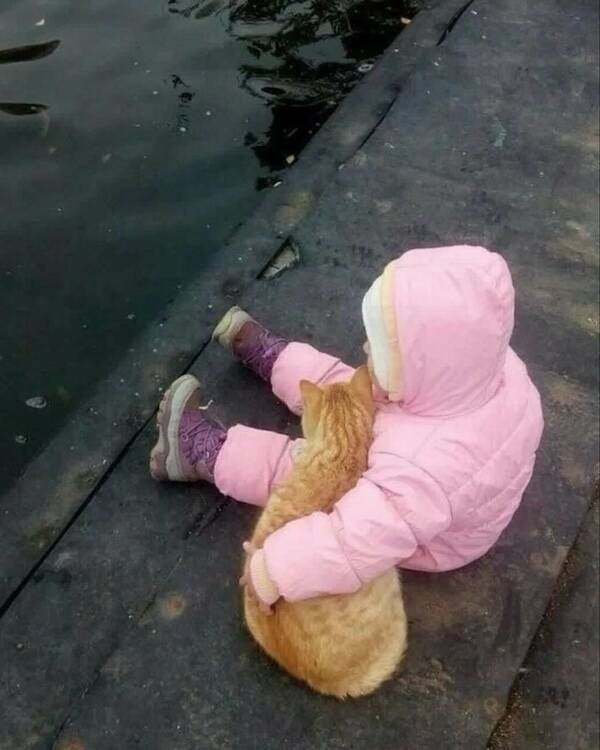 Wholesome Posts With Big Heart Energy