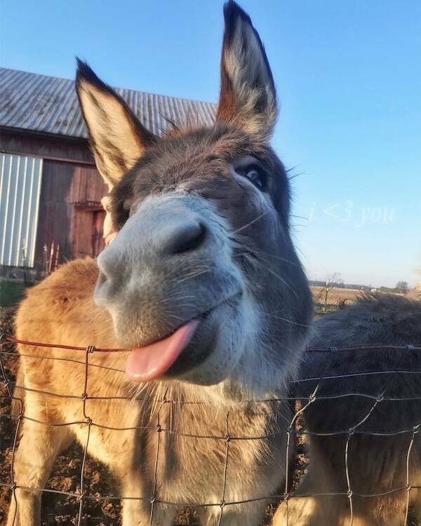 Wholesome Posts With Big Heart Energy