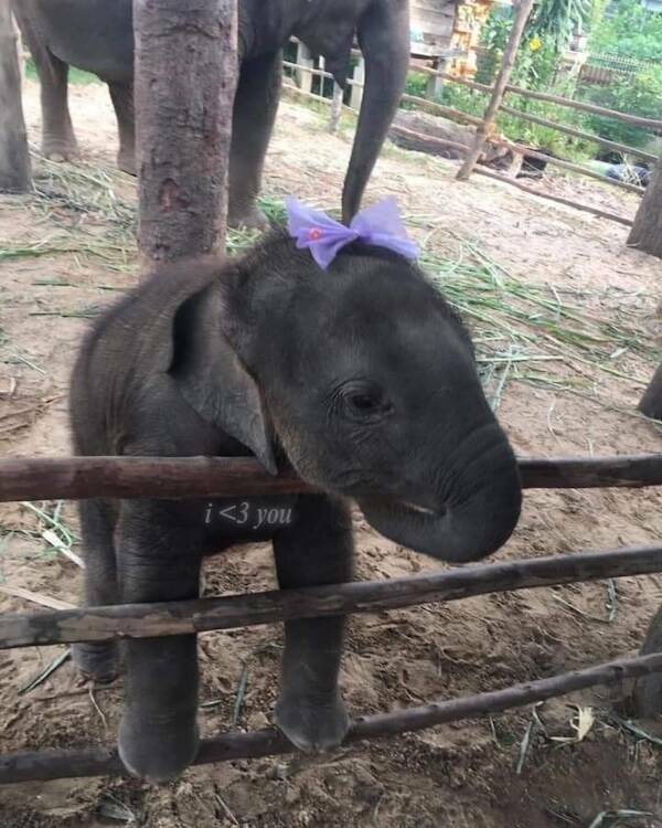 Wholesome Posts With Big Heart Energy