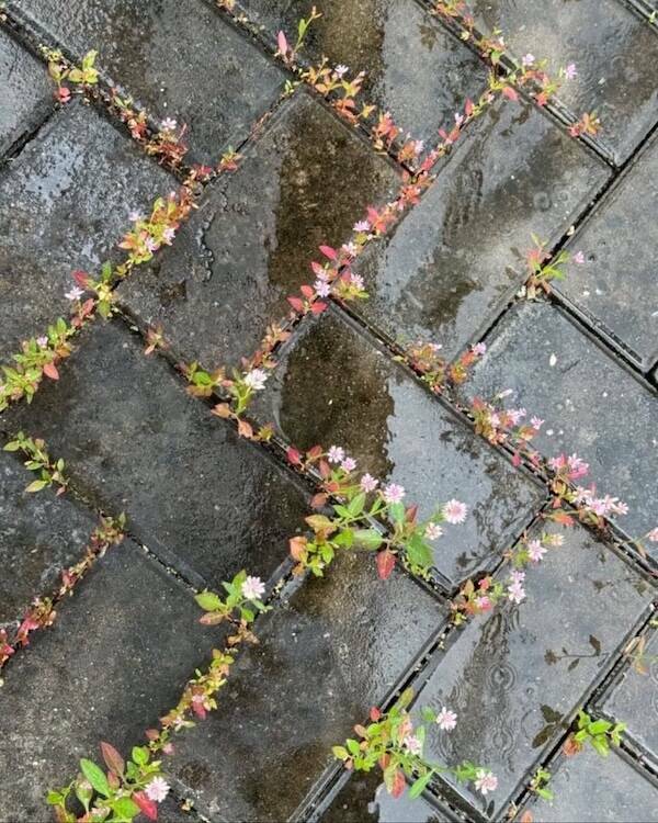 Wholesome Posts With Big Heart Energy