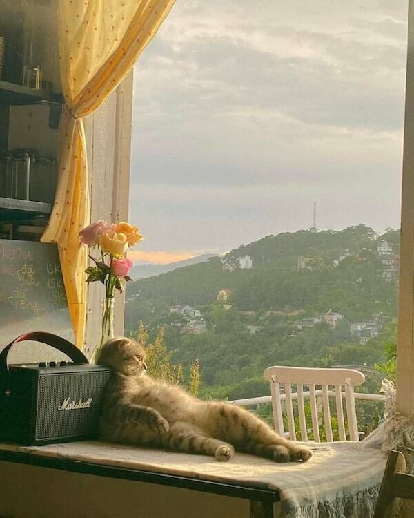 Wholesome Posts With Big Heart Energy