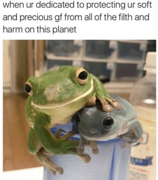 Wholesome Posts With Big Heart Energy