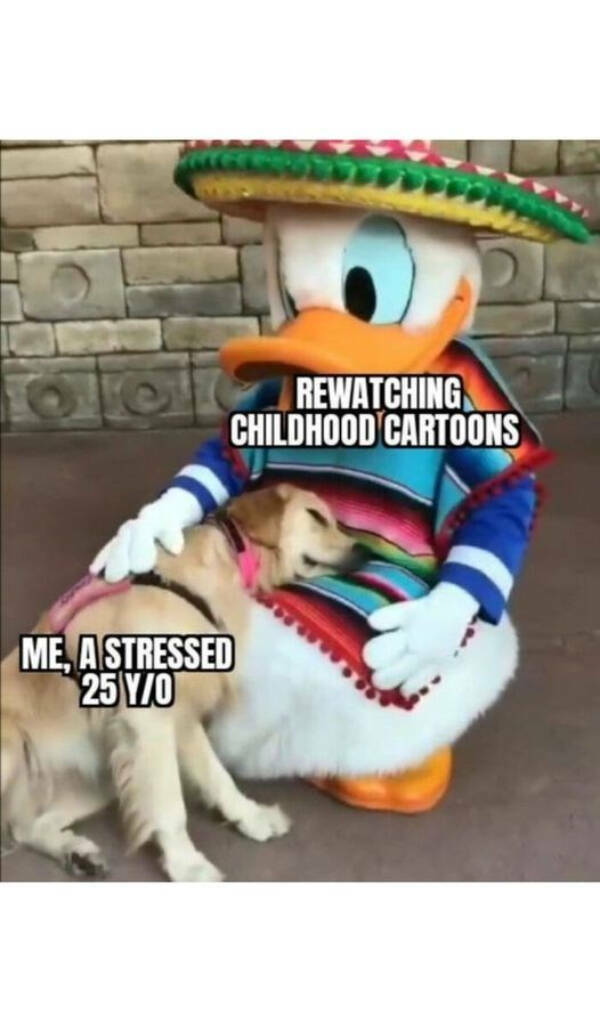 Wholesome Posts With Big Heart Energy