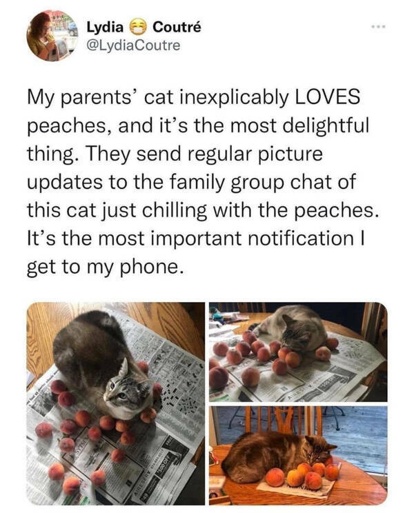 Wholesome Posts With Big Heart Energy