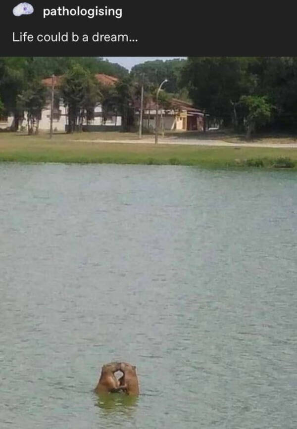 Wholesome Posts With Big Heart Energy