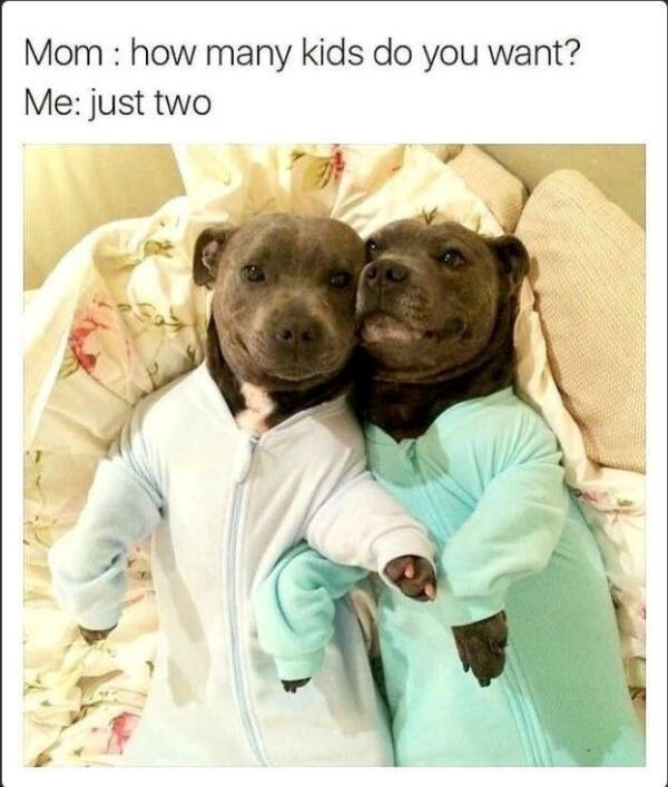 Wholesome Posts With Big Heart Energy