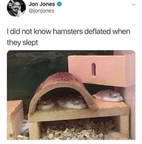 Wholesome Posts With Big Heart Energy