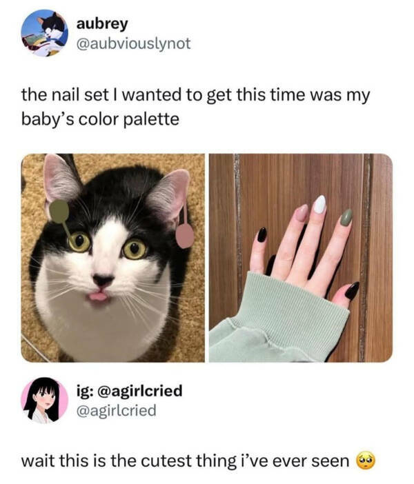 Wholesome Posts With Big Heart Energy