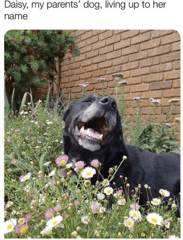 Wholesome Posts With Big Heart Energy