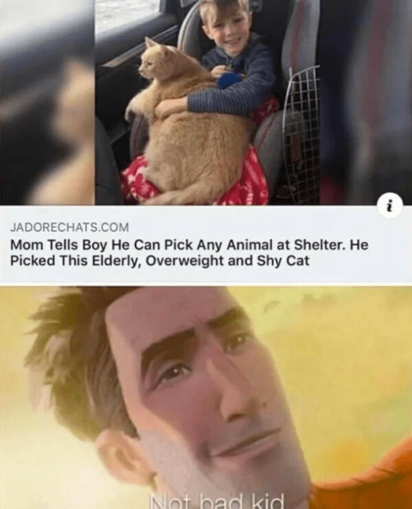 Wholesome Posts With Big Heart Energy