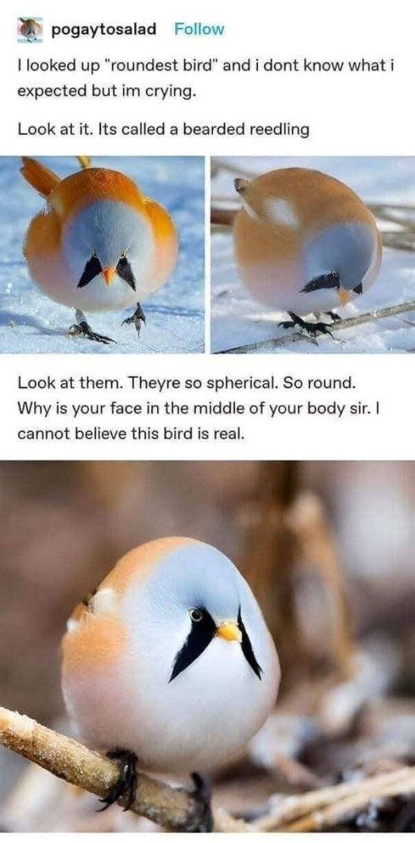 Wholesome Posts With Big Heart Energy