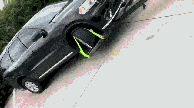 Daily Gifdump [WEEKEND EDITION]