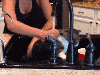 Daily Gifdump [WEEKEND EDITION]