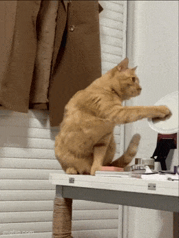 Daily Gifdump [WEEKEND EDITION]