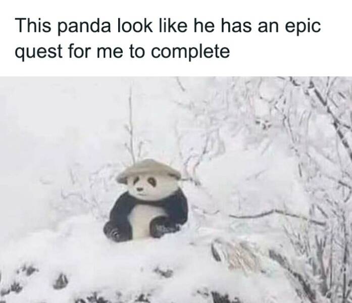 A Tribute To Men’s Humor