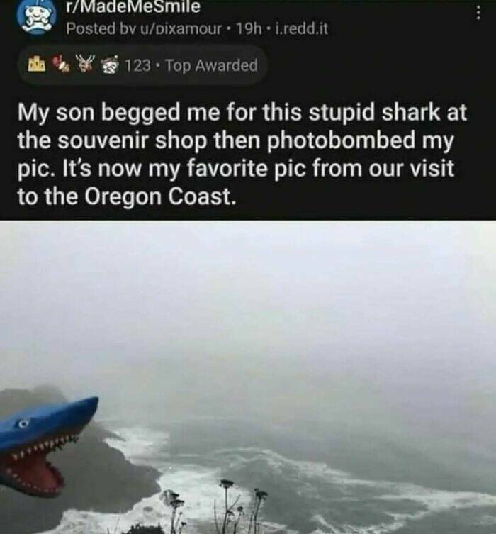 A Tribute To Men’s Humor