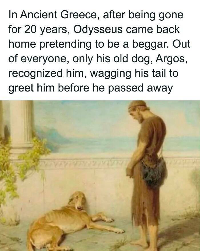 A Tribute To Men’s Humor