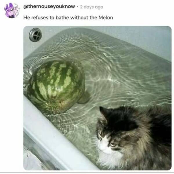 Food Fails That’ll Make You Laugh